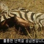 먹이 <b>사슬</b>의 최상위층에 있는 남자