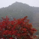 <b>첫눈</b>이...