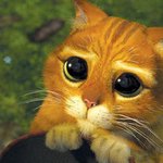 귀여운 울엄마가 고양이를 내보낸 방법은..(사진有)