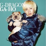 <b>주인</b> 잘만나서 호강하는 아이돌스타 애견들