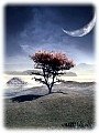 다른 사람을 긍정해 주기 위해 산다...