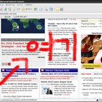 올림픽 유치 ! 네티즌님들의 힘을 보여주세요