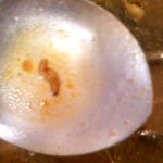 기숙사 급식에서 <b>애벌레</b>가 나왔어요 ㅠ_ㅠ