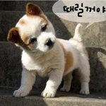 애인이 바람<b>피면</b> 어떻게 할거야 ?