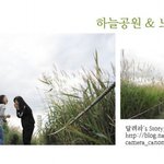 ixus200<b>is</b> 체험단] 13. 가을나들이_하늘공원&amp;노을공원(