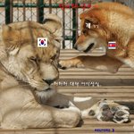 오늘 <b>서해</b>교전 소식 듣고....
