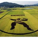 11월 11일, 무슨날인줄 아세요?