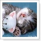 [아이온] 11월 11일 수욜.. <b>빼빼</b>로 데이..