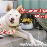 빼빼로데이라는 사실을 알고 만들었슴다 ㅡㅡ;;
