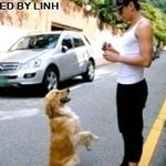 개와 같이 사진 찍은 비, <b>훈훈</b>한 모습~