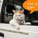 <b>루저</b>의 난[시즌3] [마지막회]