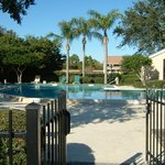 미국이 정말 이런 나라에요??