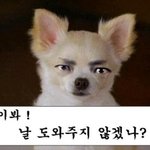 사회에 나가면 누구나 알게 되는 사실 43가지