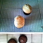 좀늦은감 있는 빼빼로 자랑[사진]