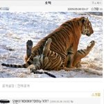 맛있는 <b>호떡</b> <b>호떡</b> <b>호떡</b> 많이 많이 드세요~♬