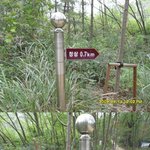 까치봉 2번째 <b>산행</b>