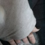 완전 귀여운 길냥<b>이</b>들 보살펴주실 분 <b>안</b> 계신가요ㅜㅜ