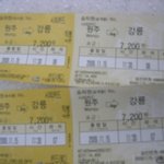 남정네 둘이서 강릉 <b>안목</b>항에 갔다왔습니다.ㅋㅋ