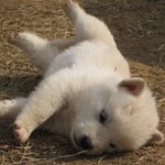 귀여운 오빠들의 공주님 <b>자러</b>가요~