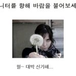우왕신기<b>하당</b>