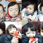 보석비빔밥에서 제일 귀여운 <b>태자</b>!!