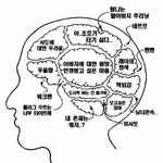 신지,레이,<b>아스카</b>의 뇌구조!