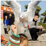 새우깡 하나를 맞바꾸어 갈매기를 <b>소환</b>한다