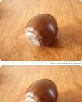 도토리 5개 <b>가질</b>사람 손이요