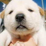 [스크롤 압뷁] 나 지금 좀 피곤하거든? 건들지 <b>말아</b>줘