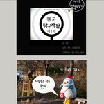 사람만한 완젼 귀여운 <b>펭귄</b>~~~ㅋㅋㅋㅋㅋ