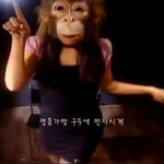 웃긴 ucc <b>캡처</b> ㅋㅋㅋㅋㅋㅋㅋㅋㅋ