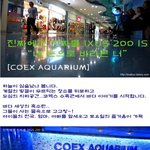 <b>캐논</b> ixus200is 들고 가족과 삼성아쿠아리움 여행