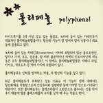 커피 폴리페놀. 항산화와 암 <b>예방</b> 효능에 대해서.