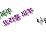 <★ 겨울철 트러블, 지성피부, 성인여드름, 청소년 여드름 피부관리법...