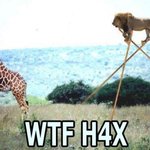 <b>기린</b> 너 이제 뒤졌음ㅋ