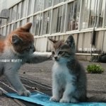 [아<b>이온</b>] 11월23일즐겁게달려요^^
