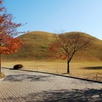 2ne4 女 나홀로 1박2일 보람찬 경주여행