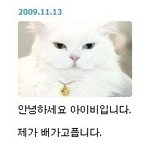 <b>2pm</b> 팬들한테 공격당한 아이비의 한마디