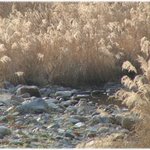 속세를 떠난 홍천 수타사를 다녀와서......