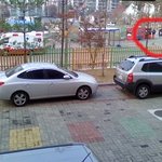 어이ㅇ벗는 119구급대<b>원들</b>