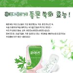 여성에게 좋다는 쑥! 쑥의 건강이야기