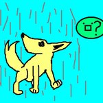 모래<b>두지</b>님,여우비님선물