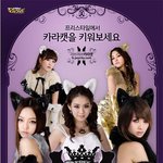 <b>카라</b>가 고양이가 댔네(<b>카라</b>캣)키우고싶네