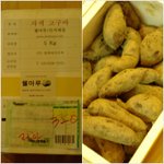 자색고구마 맛본 후기~~