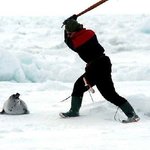 <b>no</b> fur운동을아세요?