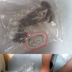 [사진 有]지니 이러면 안되지