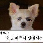 이봐!날좀 도와주지않겠나?