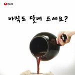아직도 달여 드세요?