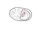 [그림有] 중국집 정말 재활용 하는건가요?????????????...