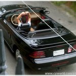 ▶여자도 남자친구에게 이벤트를 해주고 싶다..